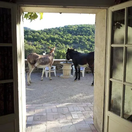 Frühstückspension Le Relais D'elle Niozelles