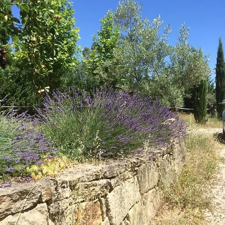 Le Relais D'elle * Niozelles